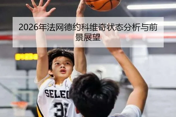 2026年法网德约科维奇状态分析与前景展望