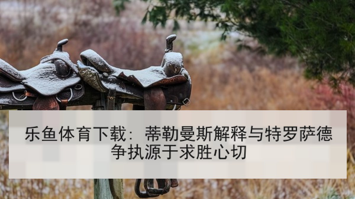 乐鱼体育下载: 蒂勒曼斯解释与特罗萨德争执源于求胜心切